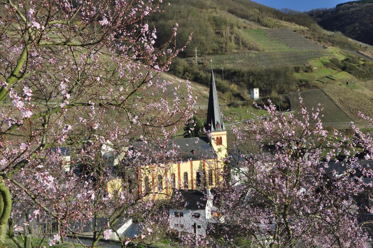 Gaestehaus Sehl Senheim Exterior foto